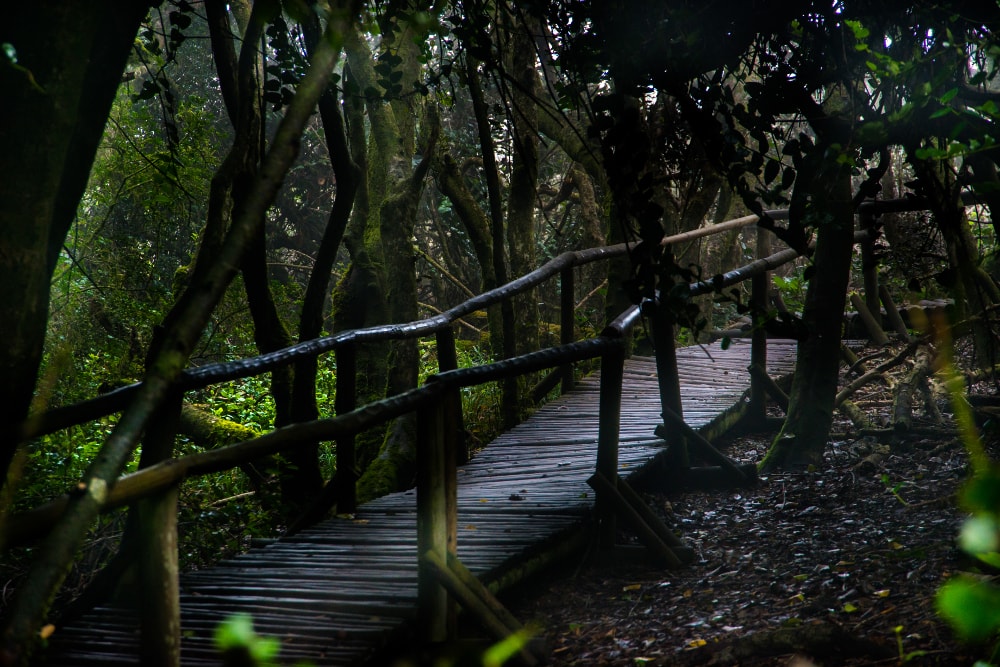 Galería Boudoir Hotel
