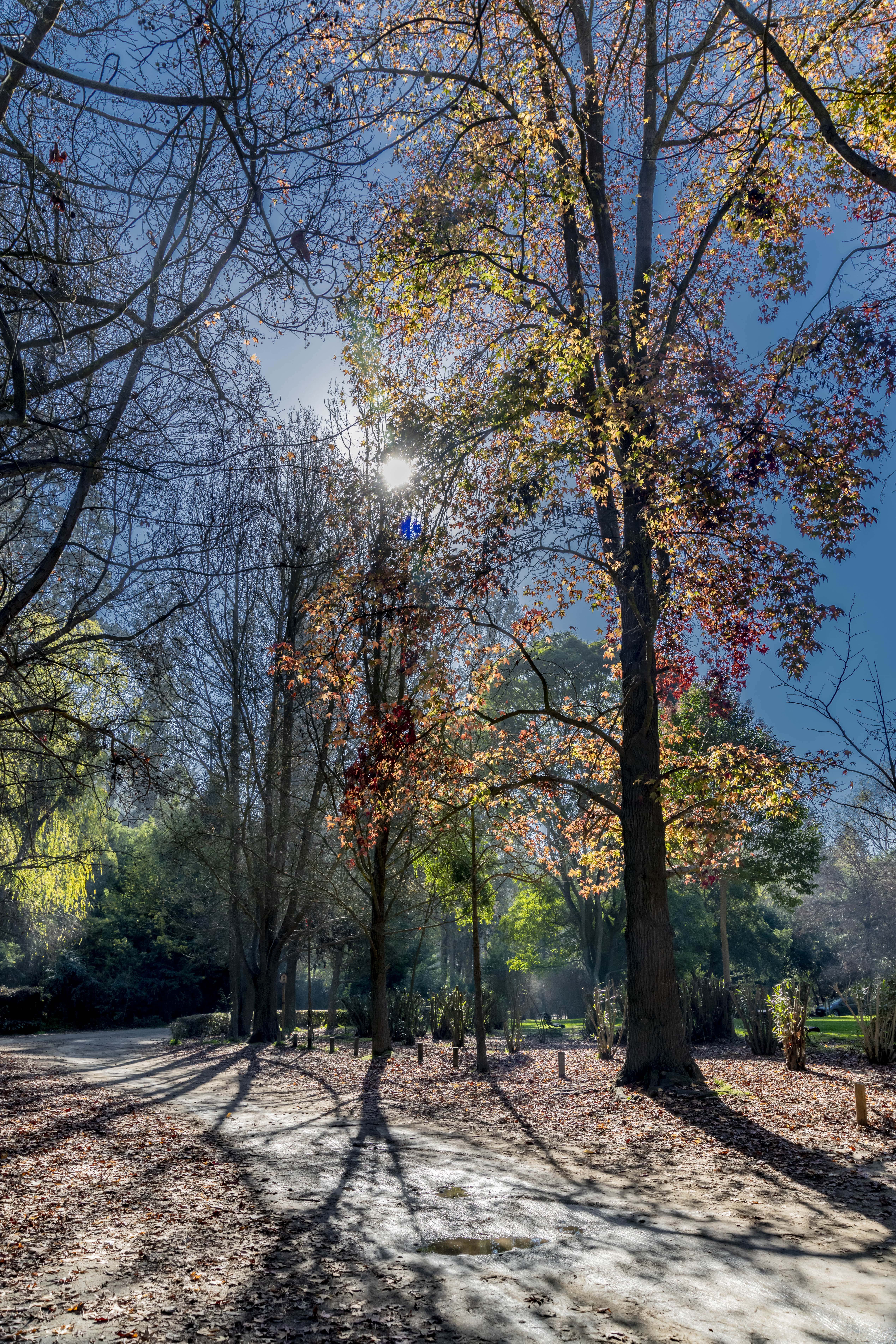 Galería Boudoir Hotel